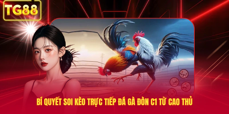 Bí quyết soi kèo trực tiếp đá gà đòn c1 từ cao thủ