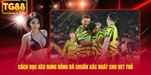 Cách Đọc Kèo Rung Bóng Đá Chuẩn Xác Nhất Cho Bet Thủ