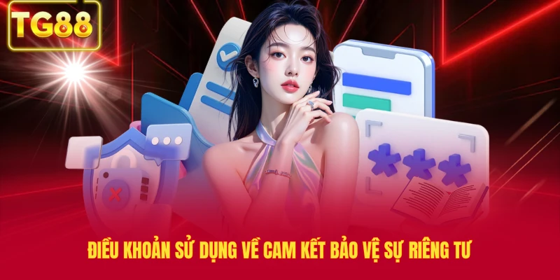 Điều khoản sử dụng về cam kết bảo vệ sự riêng tư
