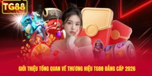Giới Thiệu Tổng Quan Về Thương Hiệu TG88 Đẳng Cấp 2026