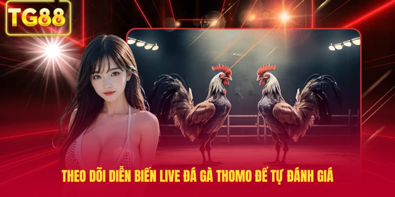 Theo dõi diễn biến live đá gà Thomo để tự đánh giá