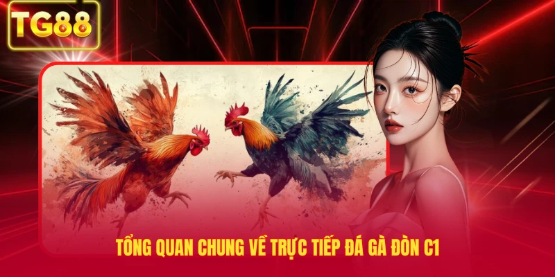 Tổng quan chung về trực tiếp đá gà đòn c1