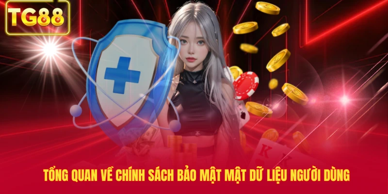 Tổng quan về chính sách bảo mật mật dữ liệu người dùng