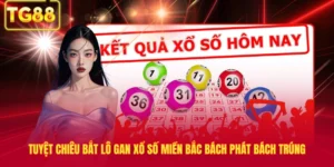Tuyệt Chiêu Bắt Lô Gan Xổ Số Miền Bắc Bách Phát Bách Trúng